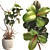 3D Plant & Decor Objects Bundle 3D model small image 6