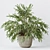 Modern Indoor Plant 3D Models 3D model small image 3