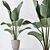 Modern Indoor Plant 3D Models 3D model small image 6