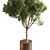 Tree in Pot, Indoor Plant 3D model small image 2