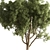 Tree in Pot, Indoor Plant 3D model small image 3