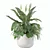 Monstera Fern Peace Lily Bundle 3D model small image 1