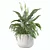 Monstera Fern Peace Lily Bundle 3D model small image 4