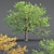  Low Poly Oak Tree Collection 3D model small image 1