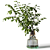 Glass Vase Leafy Branch Bouquet 3D model small image 1