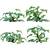 Varied 3D Plant Model Collection 3D model small image 1