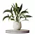 Indoor Plants Set 3D Models 3D model small image 3