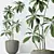 Indoor Plants Set 3D Models 3D model small image 6