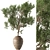 Outdoor Tree in Pot 634 3D model small image 1