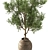 Outdoor Tree in Pot 634 3D model small image 3