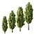 Italian Cypress Tree 19: 3D Models 3D model small image 1