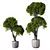 Modern Indoor Plant Set Ensemble 3D model small image 1