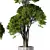 Modern Indoor Plant Set Ensemble 3D model small image 3