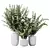 Eucalyptus Foliage Decor Set 3D model small image 1