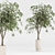  Modern Indoor Plant Set 3D model small image 3