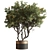 Leafy Green Potted Tree 768 3D model small image 1