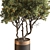 Leafy Green Potted Tree 768 3D model small image 2