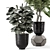 Artisanal Metal Pot Indoor Plants 3D model small image 4