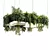 Rectangular Plant Pendant Light 24 3D model small image 2