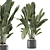 Ferm Living Indoor Plant Set 3D model small image 2