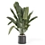 Ferm Living Indoor Plant Set 3D model small image 3