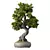 Bonsai Tree Set, 162 Miniatures 3D model small image 2