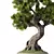 Bonsai Tree Set, 162 Miniatures 3D model small image 3