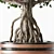 Chinese Tree 01 Outdoor Plant 3D model small image 2