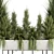 Concrete Box Outdoor Plants Set 3D model small image 2