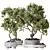 Bonsai Ginseng & Olive Set 3D model small image 1