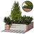 Chinese Outdoor Tree Plant 02 3D model small image 1