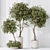 Elegant Artificial Olive Tree Set 3D model small image 3