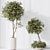 Elegant Artificial Olive Tree Set 3D model small image 5