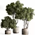 Botanical Bliss Tree in Pot 3D model small image 1