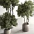 Botanical Bliss Tree in Pot 3D model small image 2