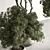 Botanical Bliss Tree in Pot 3D model small image 4