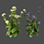 Meadow Wildflower 3D Models 3D model small image 1