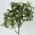 Lemon Calamondin Tree Houseplant 3D model small image 2