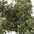 Green Branch Bouquet 193 3D model small image 3