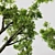 Spring Tree 3D Model Bundle 3D model small image 4