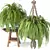 Botanical Bliss Indoor Plant Set 3D model small image 2