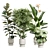 Exotic Indoor Plants Pack 72 3D model small image 4