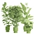 Exotic Indoor Plants Pack 72 3D model small image 6