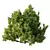 Modern Cypress Bush 3D Model 3D model small image 2