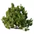 Modern Cypress Bush 3D Model 3D model small image 3