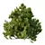 Modern Cypress Bush 3D Model 3D model small image 6