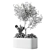 Elegant Indoor Olive Tree Set 3D model small image 5