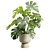 Tropical Monstera Deliciosa Beige Planter 3D model small image 5