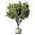 Modern Greenery Set for Indoor 3D model small image 1