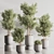 Green Haven Indoor Plant Set 3D model small image 1